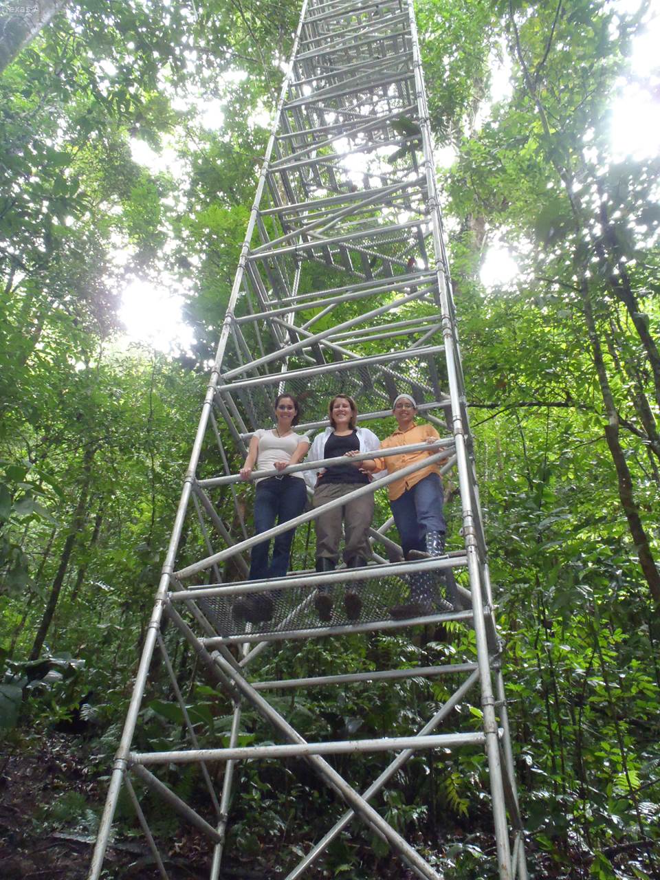 A group of Texas A&M University scientists and their graduate students studied evapotranspiration in the tropical forest of Costa Rica. 